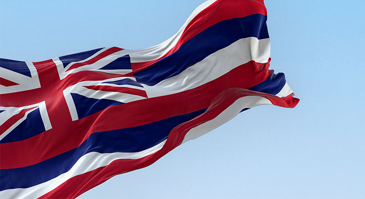 Hawaii Flag